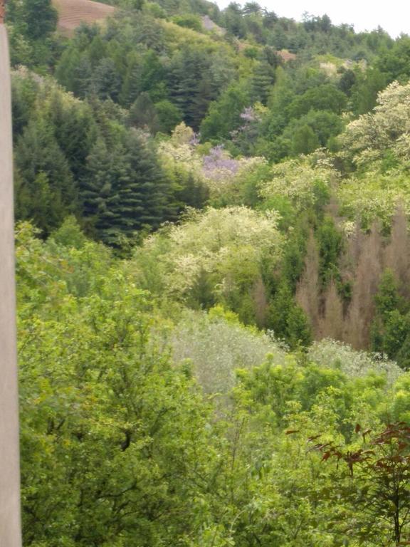 B&B Ca Dal Busc Sostegno Kültér fotó